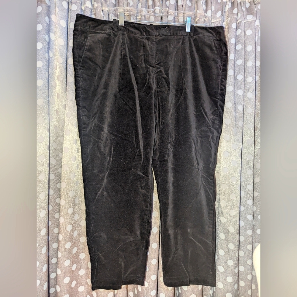 TALBOTS Velvet Signature Bootcut Pant 20WP
